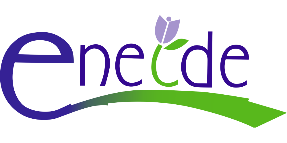 Logo Eneide